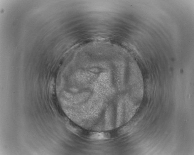 X0000088030083200706011400