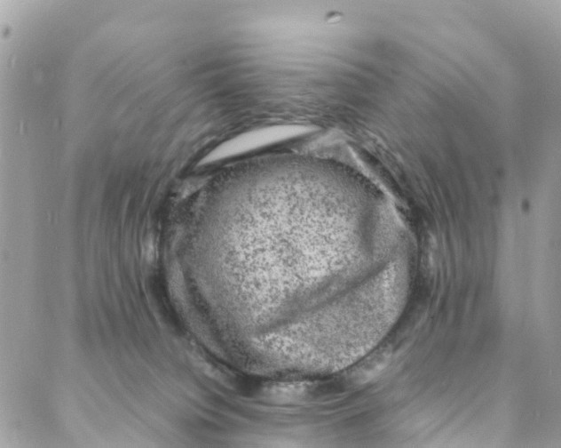 X0000088030084200706011400