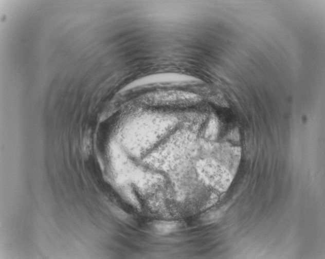 X0000088030085200706011400