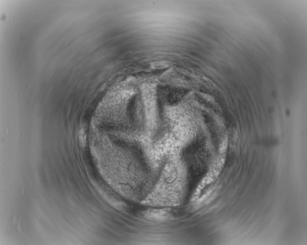 X0000088030086200706011400