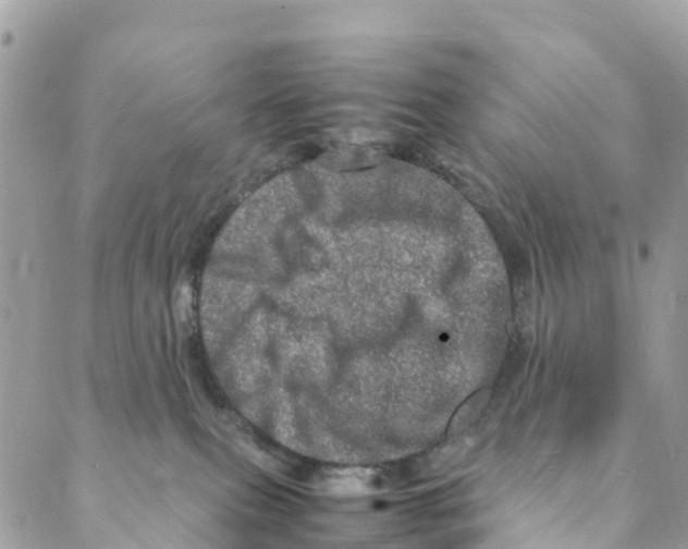 X0000088030087200706011400