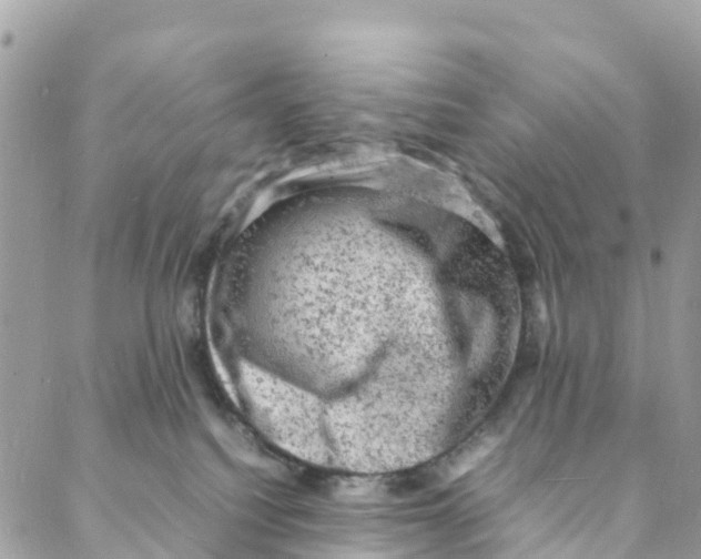 X0000088030088200706011400