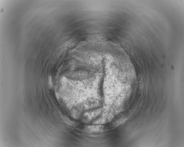 X0000088030089200706011400