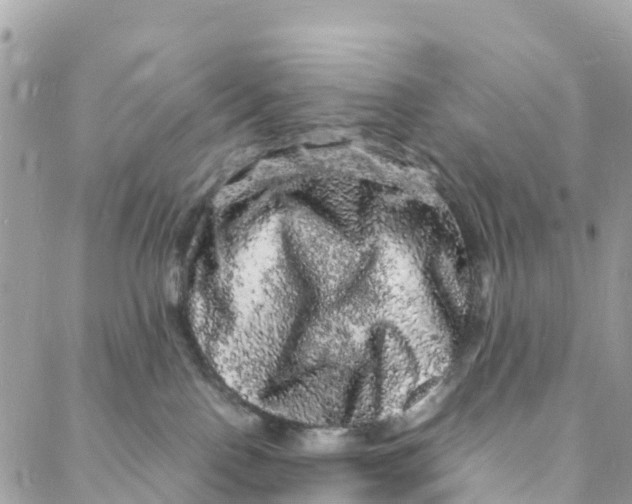 X0000088030090200706011400