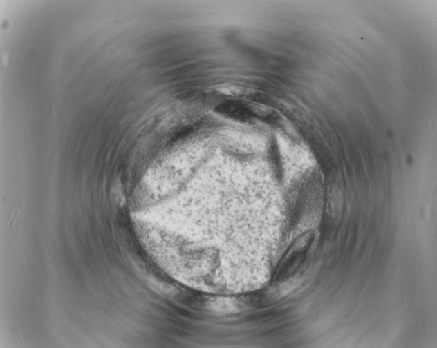 X0000088030091200706011400