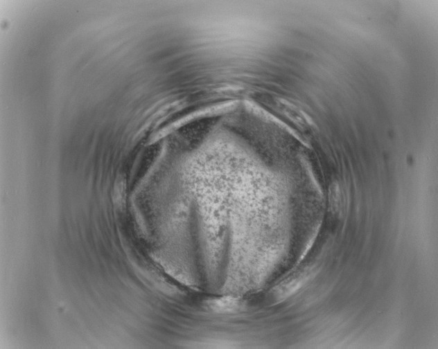 X0000088030092200706011400