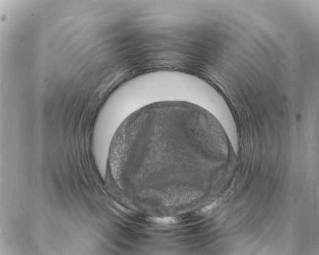 X0000088030093200706011400