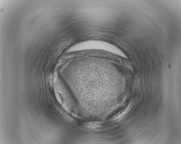 X0000088030094200706011400