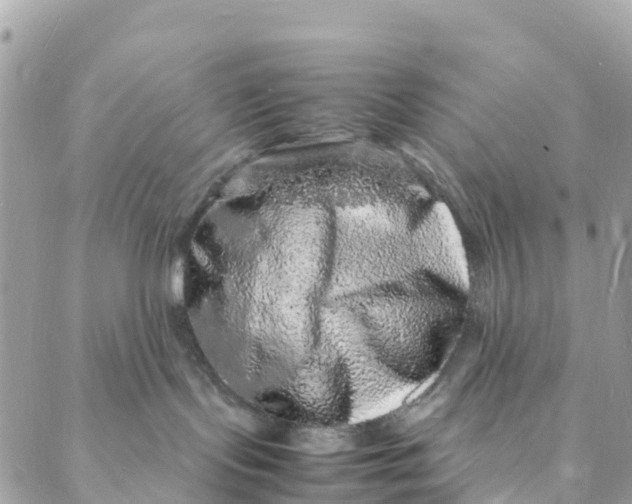 X0000088030095200706011400