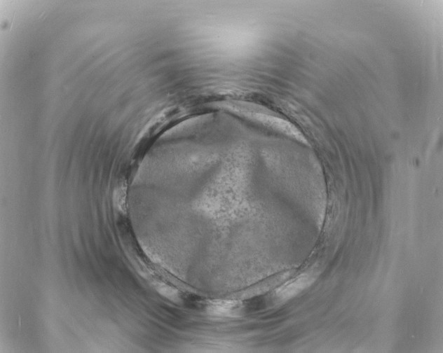 X0000088030096200706011400