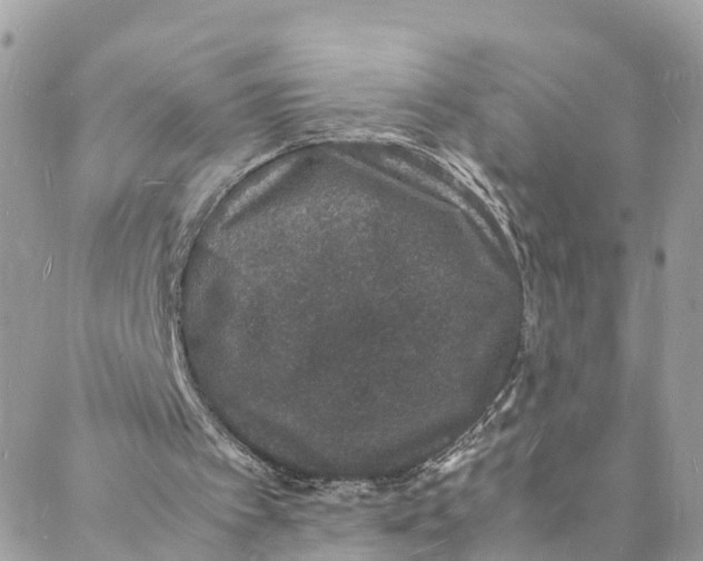 X0000088030097200706011359