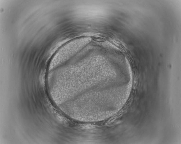 X0000088030098200706011359