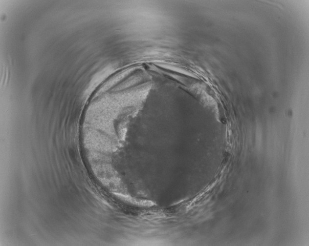 X0000088030099200706011359