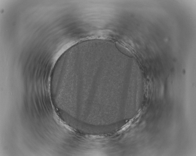 X0000088030100200706011359