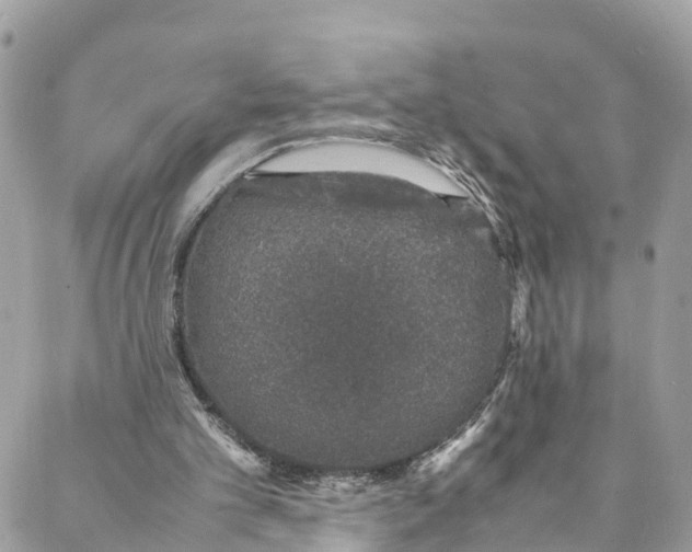 X0000088030101200706011359