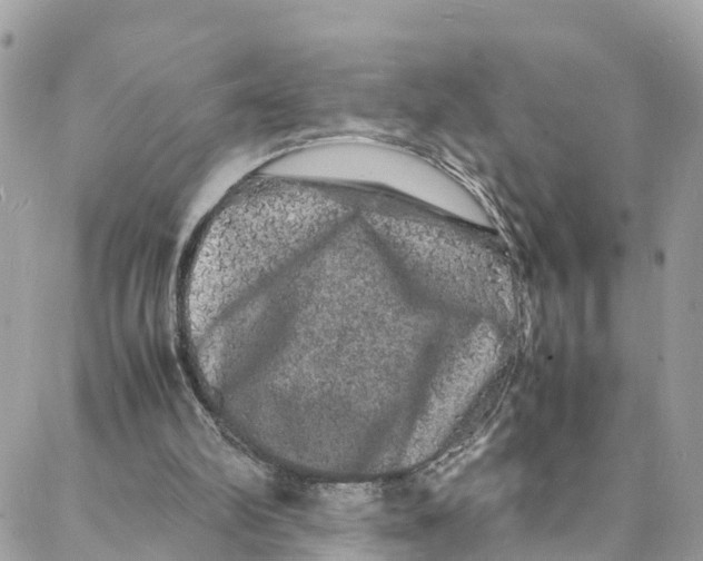 X0000088030102200706011359