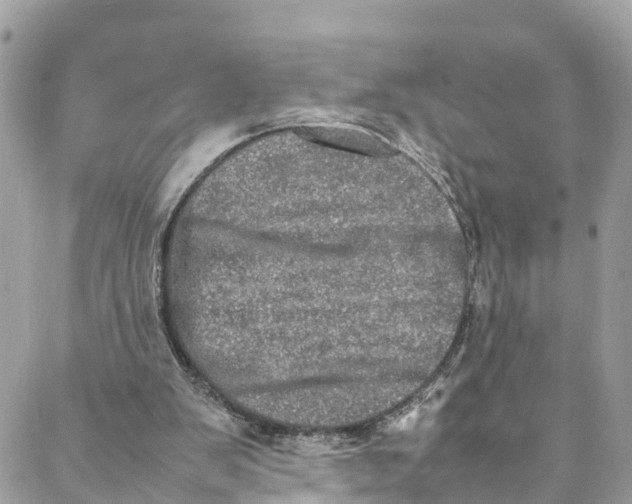 X0000088030103200706011359