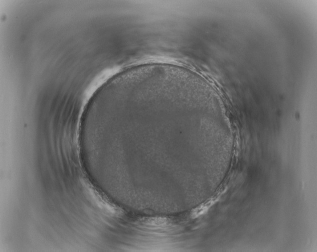 X0000088030104200706011359