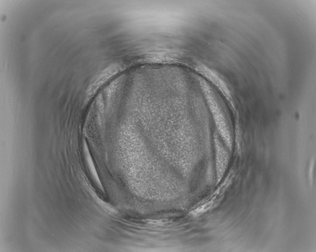 X0000088030105200706011359