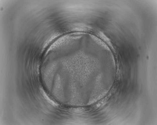 X0000088030106200706011359