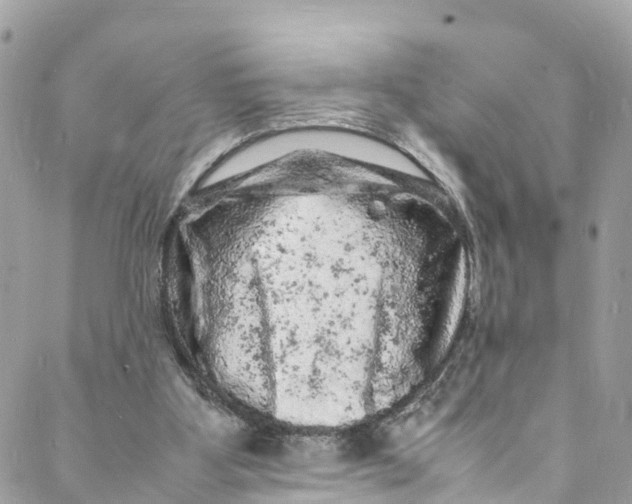 X0000088030107200706011359