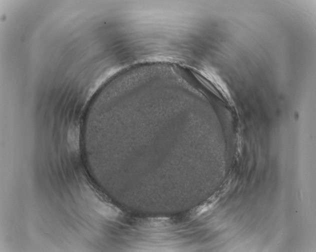 X0000088030108200706011359