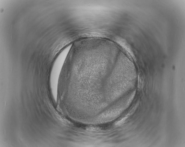 X0000088030109200706011359