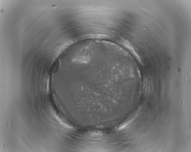 X0000088030110200706011359