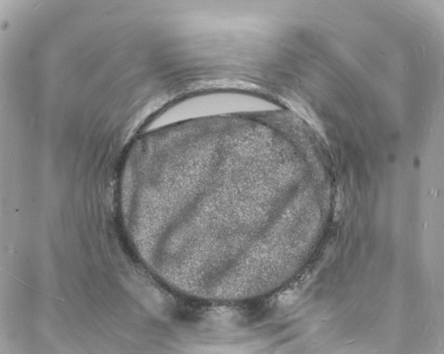 X0000088030111200706011359