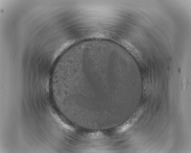 X0000088030112200706011359