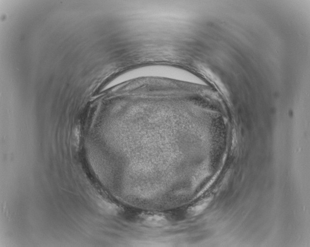 X0000088030113200706011359