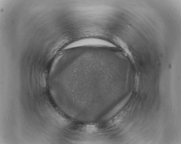 X0000088030114200706011359