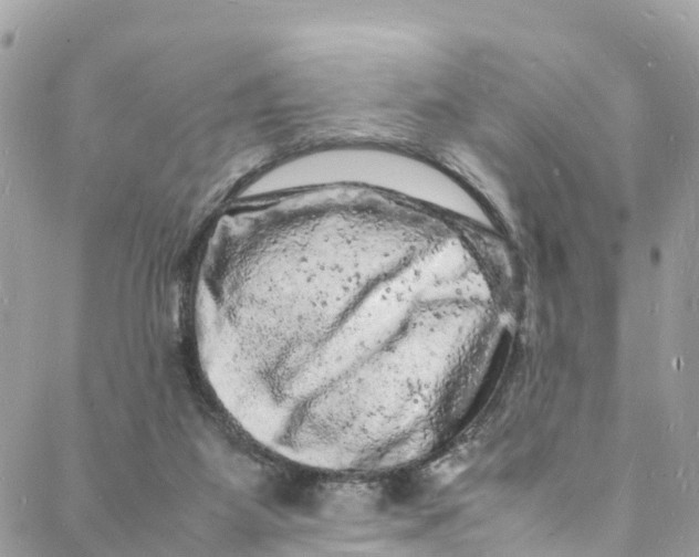 X0000088030115200706011359