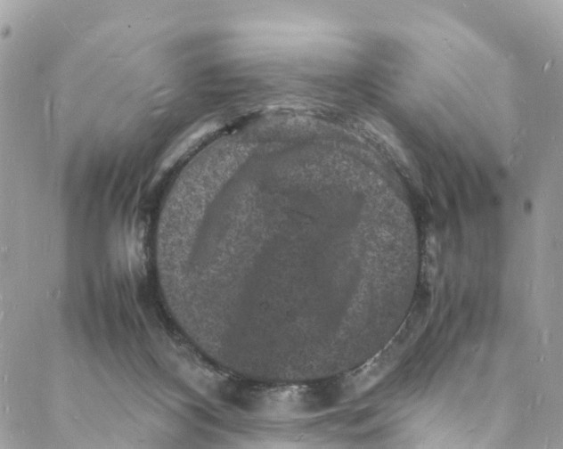 X0000088030116200706011359