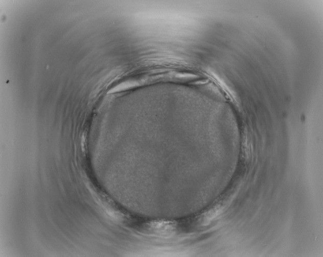 X0000088030117200706011359