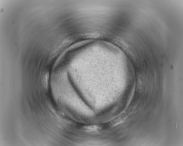 X0000088030118200706011359