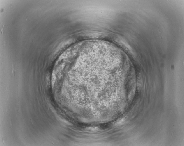 X0000088030119200706011359