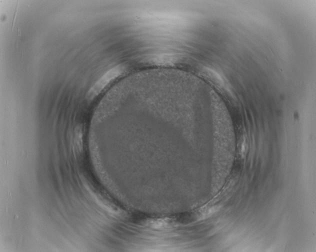 X0000088030120200706011359