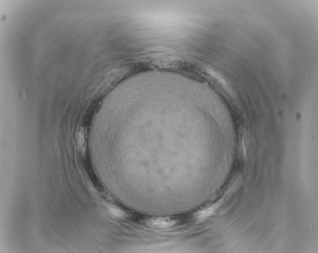 X0000088030121200706011359