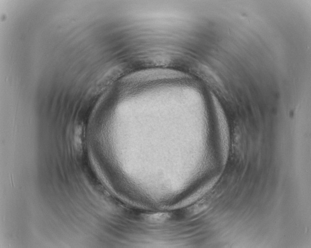 X0000088030122200706011359