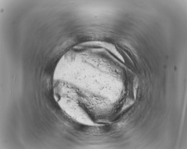 X0000088030123200706011359