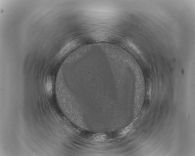 X0000088030124200706011359