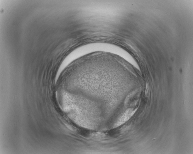 X0000088030125200706011359