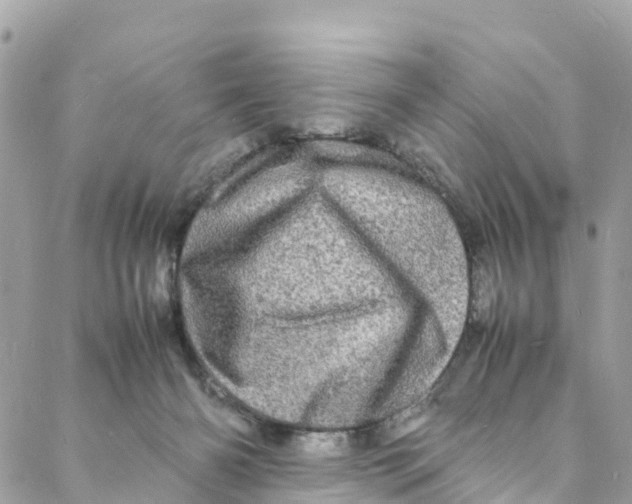 X0000088030126200706011359