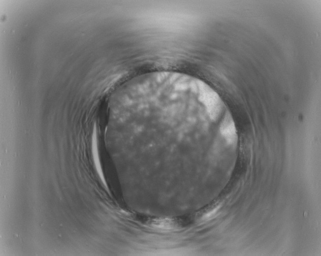 X0000088030127200706011359