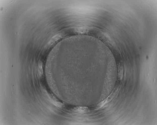 X0000088030128200706011359