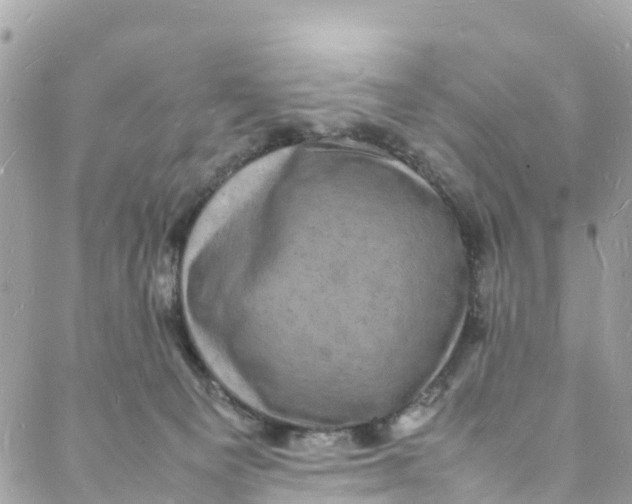 X0000088030129200706011359