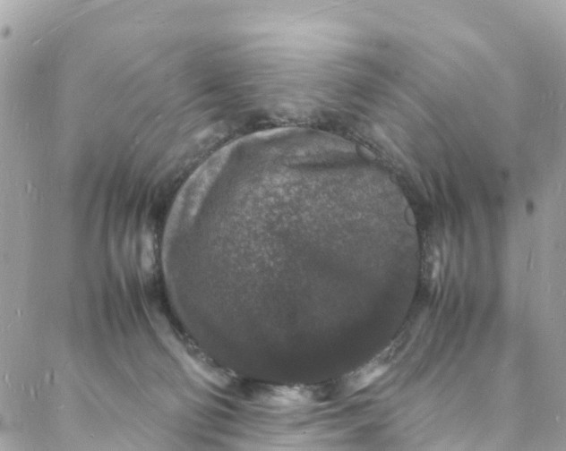 X0000088030130200706011359