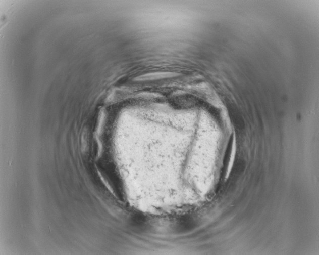 X0000088030131200706011359