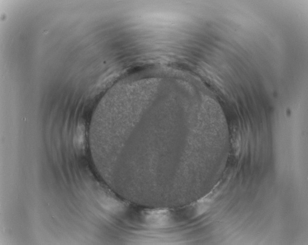 X0000088030132200706011359